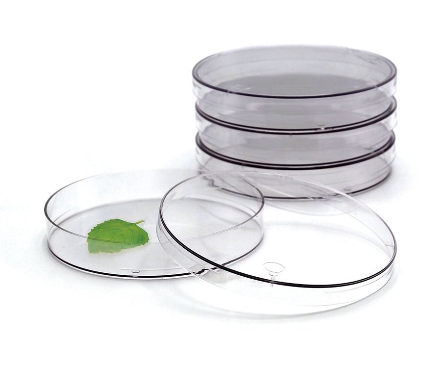 Petri Dishes Petri Dishes
